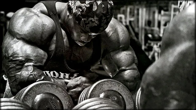 Volume-Muscular