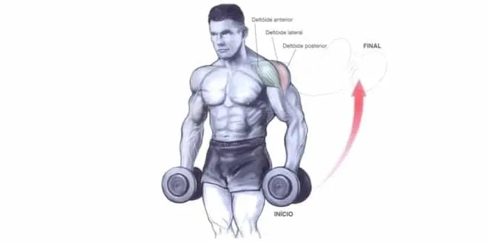Treino de Ombros LEVANTAMENTO LATERAL COM HALTERES FIXOS