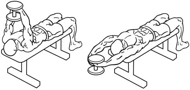 Exercicio Pullover