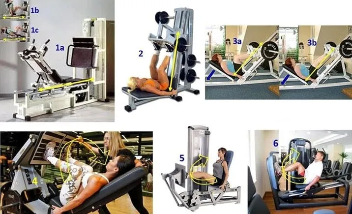 Modelos LEG PRESS