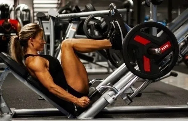 Leg Press Modelos
