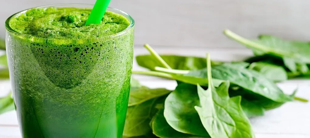 suco detox para emagrecer