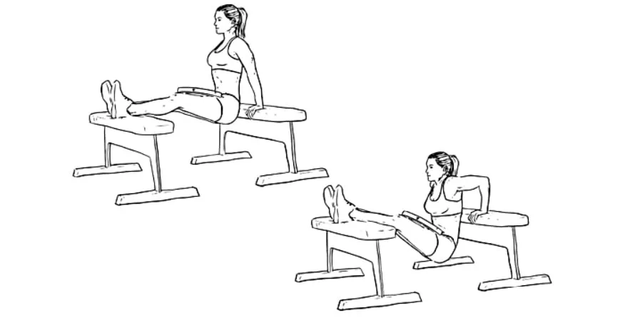 Triceps Banco