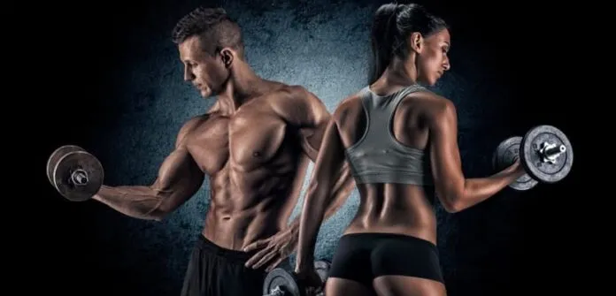 Hormônios e a Massa Magra Gorda Hormônios e a Massa Magra Gorda