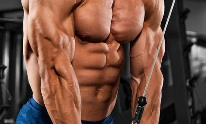 construindo-triceps-de-aco
