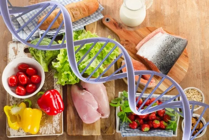 Nutrigenética a dieta do DNA Nutrigenética a dieta do DNA
