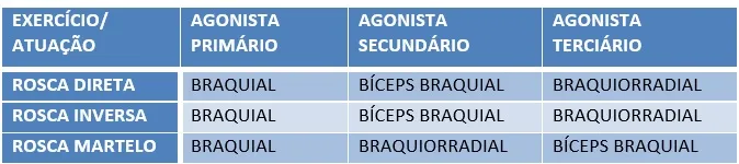 Tabela Treino Rosca Direta