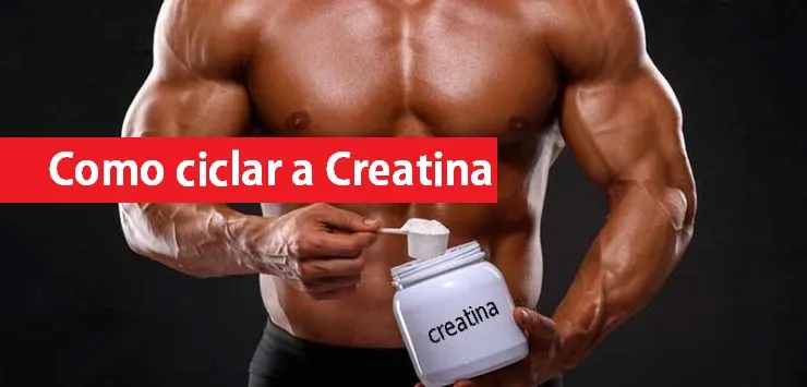 como ciclar a creatina