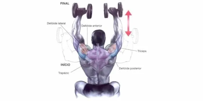 Treino de Ombros SHOULDER PRESS COM HALTERES FIXOS