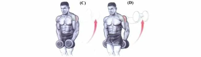 LEVANTAMENTO LATERAL COM HALTERES FIXOS