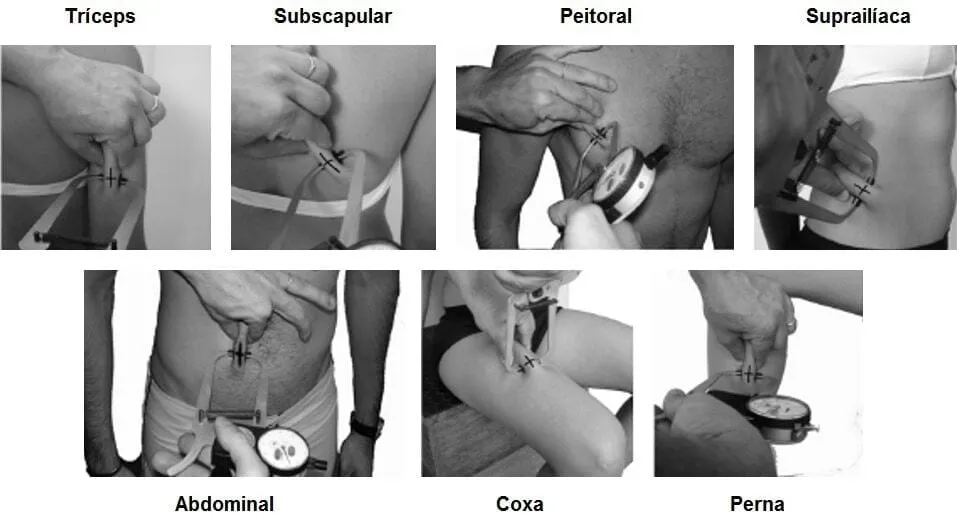 7 pontos de medidas para verificar o percentual de gordura corporal