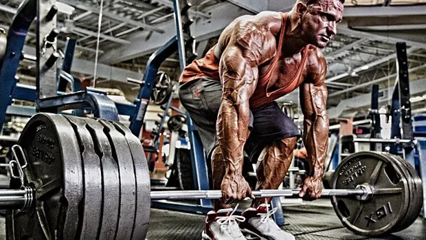 GVT Advanced German Volume Training GVT Advanced German Volume Training