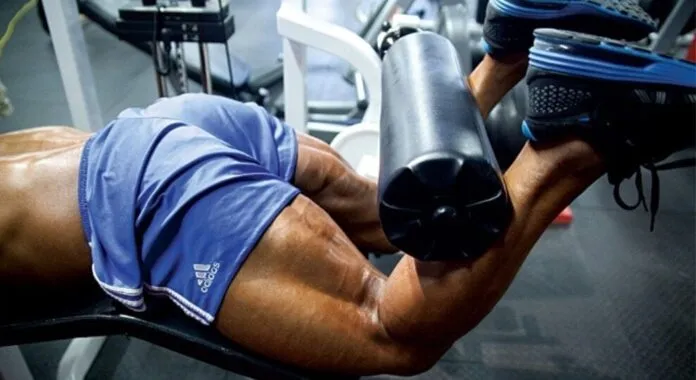 Super treino para Pernas parte Anterior e Posterior + Panturrilhas Super treino para Pernas parte Anterior e Posterior + Panturrilhas