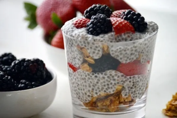 Benefícios da Chia para quem faz Dieta Benefícios da Chia para quem faz Dieta