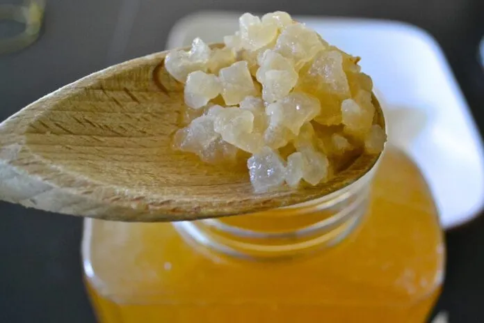 Benefícios do Kefir de Água, como fazer e usar para Emagrecer
