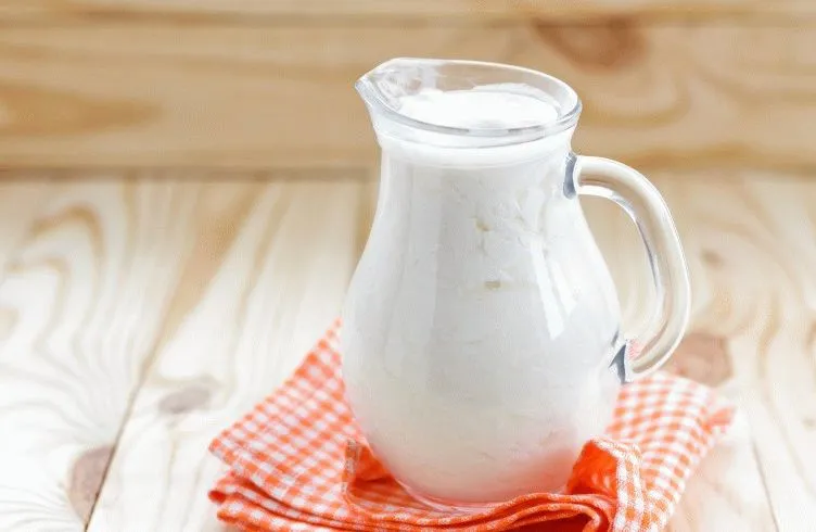 Benefícios do Kefir de Leite