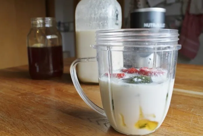 Receitas com Kefir Low Carb Receitas com Kefir Low Carb