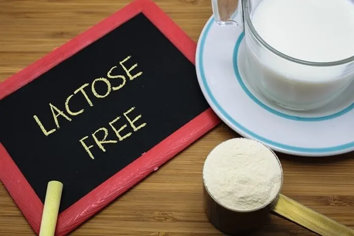 Whey protein sem lactose, o whey para quem tem intolerância à lactose Whey protein sem lactose, o whey para quem tem intolerância à lactose