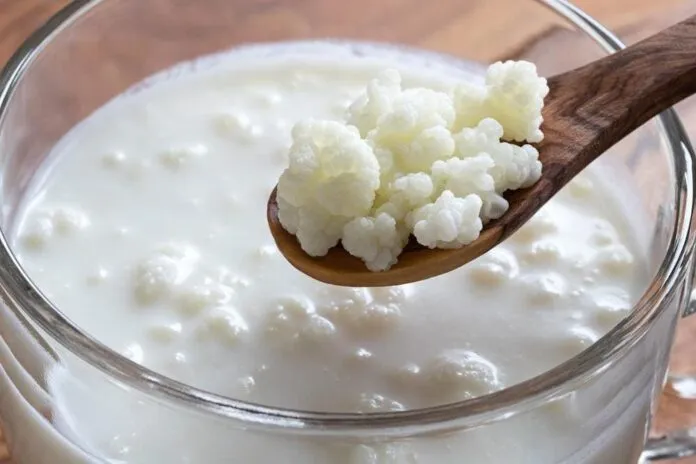 Kefir de Leite em Pote de Vidro Kefir de leite cremoso em pote de vidro com colher de madeira.