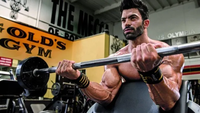 Erros no treino de Bíceps como evitar erros cometidos na Musculação Erros no treino de Bíceps: como evitar erros cometidos na Musculação