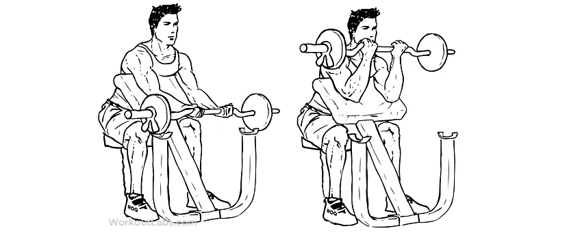 Preacher Curl Rosca Scott
