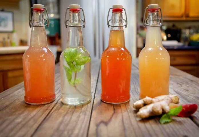 Suco natural com Água de Kefir Suco natural com Água de Kefir