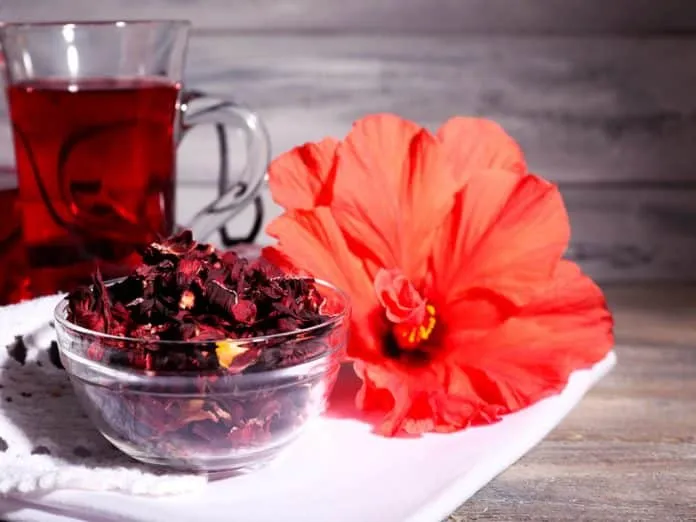 Como fazer o Chá de Hibisco para Emagrecer Como fazer o Chá de Hibisco para Emagrecer