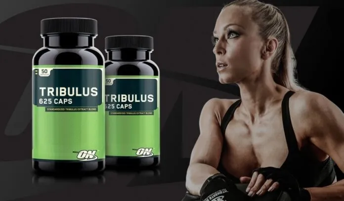 Efeitos do tribulus terrestris em Homens e Mulheres Efeitos do tribulus terrestris em Homens e Mulheres