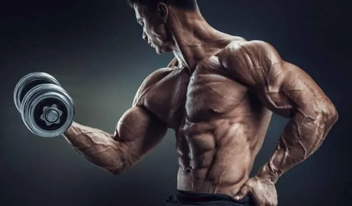 Homem musculoso levantando haltere Homem musculoso treinando força com haltere para definição muscular.
