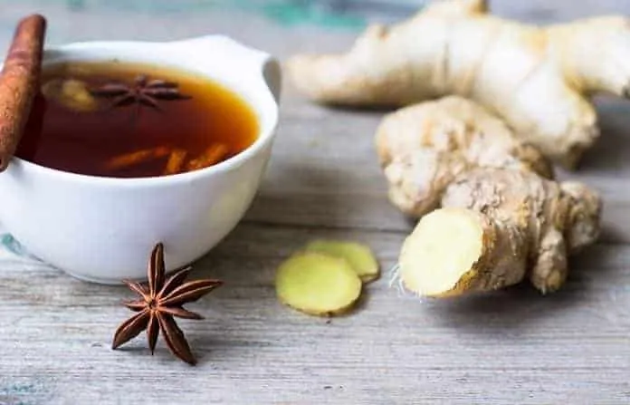 Chá Seca Barriga - Receita de chá para fazer em Casa Chá Seca Barriga - Receita de chá para fazer em Casa