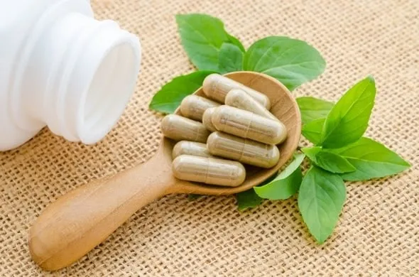 Garcinia Cambogia para Emagrecer