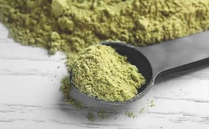 O que é a Proteína de Cânhamo, para que serve, seus benefícios, sua função e onde encontrar O que é a Proteína de Cânhamo, para que serve, seus benefícios, sua função e onde encontrar