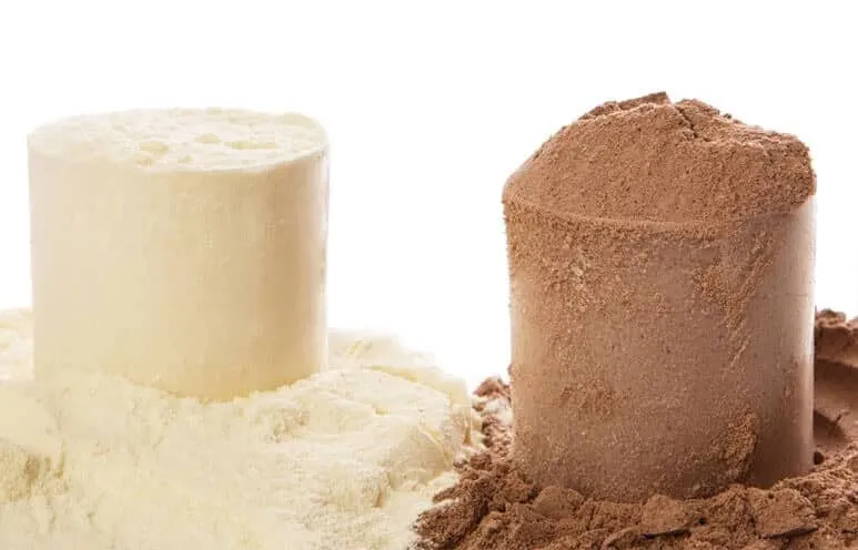 Duas proteínas em pó, caseína branca e albumina marrom, em fundo branco.
