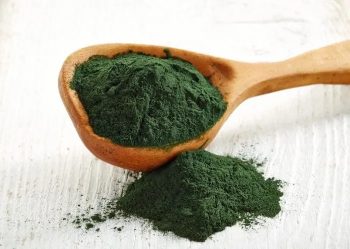 O uso da Spirulina para emagrecer (veja como obter a melhor vantagem do Suplemento O uso da Spirulina para emagrecer (veja como obter a melhor vantagem do Suplemento