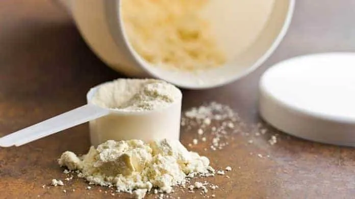 Proteína Concetrada (Whey) e seus benefícios para o ganho de Massa Muscular