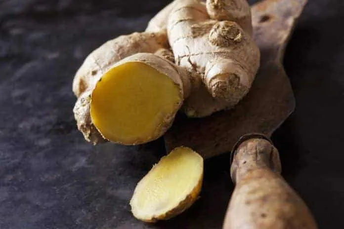 Alimentos Funcionais para intensificar a Perda de Peso Alimentos Funcionais para intensificar a Perda de Peso