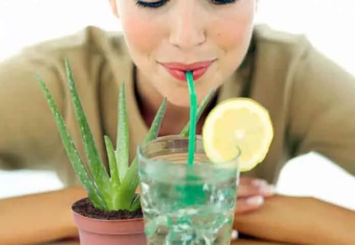 Receitas de suco detox de aloe vera com limão para emagrecer Receitas de suco detox de aloe vera com limão para emagrecer