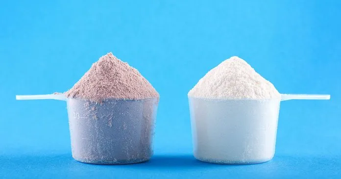 Duas porções de proteína em pó, uma de Whey e outra de carne, sobre fundo azul.