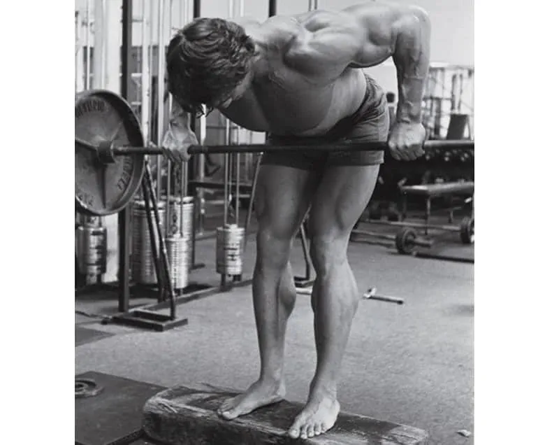 Treino De Costas Do Arnold Schwarzenegger Remada Curvada