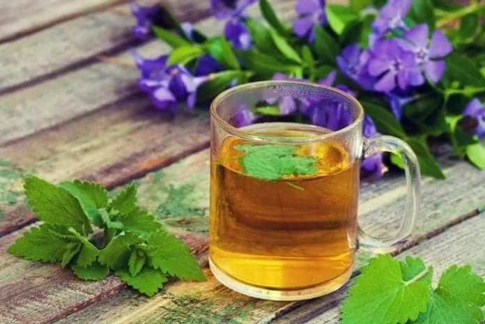Chá para Desinchar a Barriga (confira duas receitas caseiras) Chá para Desinchar a Barriga (confira duas receitas caseiras)