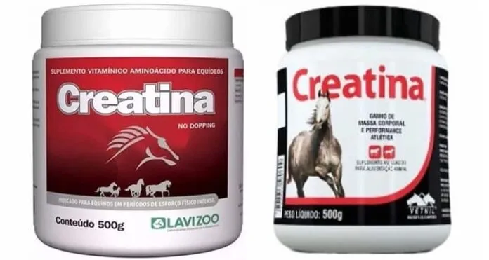 Suplemento de Creatina para Cavalos Suplemento de creatina em pó para cavalos, melhora desempenho e resistência.