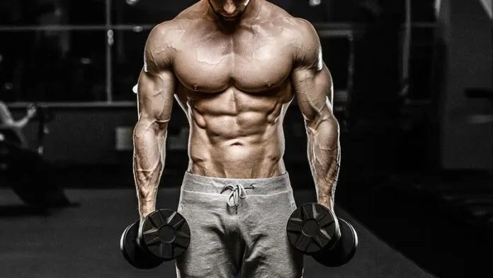 Homem musculoso com halteres na academia Homem musculoso treinando com halteres na academia.